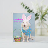 Carte Postale Un lapin t'aime ! (Debout devant)