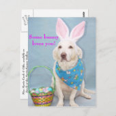 Carte Postale Un lapin t'aime ! (Devant / Derrière)