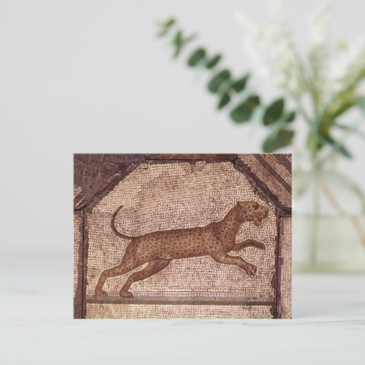 Carte Postale Un léopard (Debout devant)