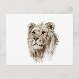 Carte Postale Un lion - Sans Fierté Dessin D'Art