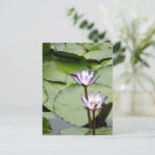 Carte Postale Un/Lotus Blooms Salutations Toutes Les Occasions (Debout devant)