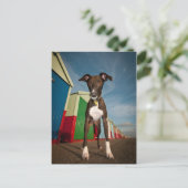 Carte Postale Un Lurcher Devant Quelques Plages (Debout devant)