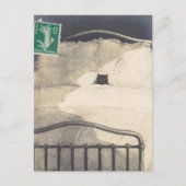 Carte Postale Un Mad Kitty ! (Devant)