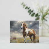 Carte Postale Un Magnifique Cheval De Pinto (Debout devant)