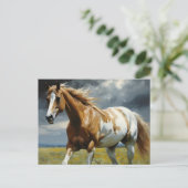 Carte Postale Un magnifique cheval Pinto dans le pré (Debout devant)