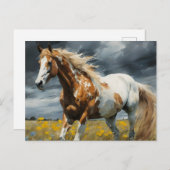 Carte Postale Un magnifique cheval Pinto dans le pré (Devant / Derrière)