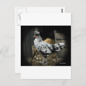 Carte Postale un magnifique design d'un bel oiseau exotique (Devant / Derrière)