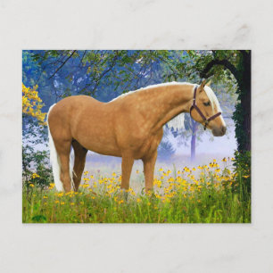 Carte Postale "Un Matin Fou" 