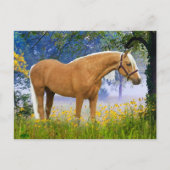 Carte Postale "Un Matin Fou" (Devant)