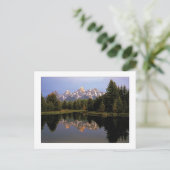 Carte Postale "Un matin Teton" (Debout devant)