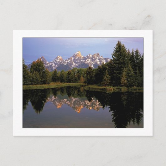 Carte Postale "Un matin Teton" (Devant)