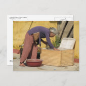 Carte Postale Un mélange de couleurs (Devant / Derrière)