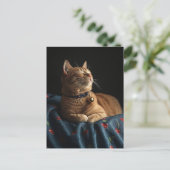 Carte Postale Un mignon chat roux endormi  (Debout devant)