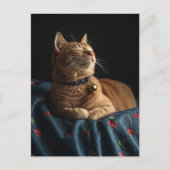 Carte Postale Un mignon chat roux endormi  (Devant)
