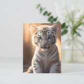 Carte Postale Un mignon petit tigre blanc (Debout devant)