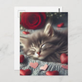 Carte Postale Un mignon Valentine Kitten dormant (Devant / Derrière)