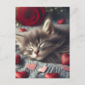 Carte Postale Un mignon Valentine Kitten dormant (Devant)