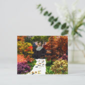 Carte Postale Un Moment D'Automne (Debout devant)