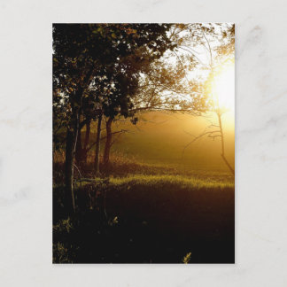 Carte Postale Un moment doré