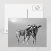 Carte Postale Un moment tendre entre maman et bébé (Devant / Derrière)