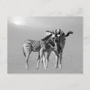 Carte Postale Un moment tendre entre maman et bébé