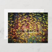 Carte Postale Un monde ! (Devant / Derrière)