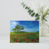 Carte Postale Un monde merveilleux (Debout devant)