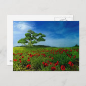 Carte Postale Un monde merveilleux (Devant / Derrière)