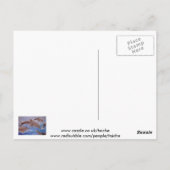 Carte Postale Un morceau de dauphins de saut (Dos)