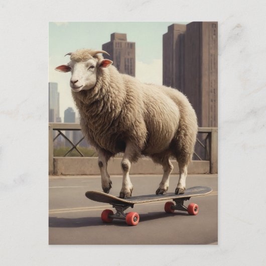 Carte Postale Un mouton blanc en planche à roulettes dans la vil (Devant)