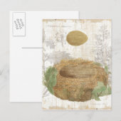 Carte Postale Un nid d'oiseaux avec un oeuf Brown (Devant / Derrière)