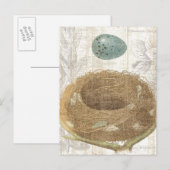 Carte Postale Un nid d'oiseaux avec un oeuf décoratif (Devant / Derrière)