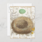 Carte Postale Un nid d'oiseaux avec un oeuf vert (Devant / Derrière)