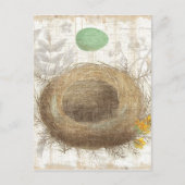 Carte Postale Un nid d'oiseaux avec un oeuf vert (Devant)