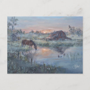 Carte Postale Un nouveau jour -* Peinture de cheval