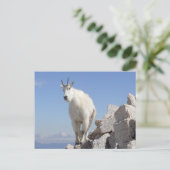 Carte Postale Un oeil sur toi (Debout devant)