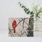 Carte Postale Un oiseau cardinal rouge sur une branche dans les  (Debout devant)