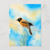 Carte Postale Un oiseau solitaire et coloré (Devant)