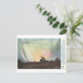 Carte Postale Un ours sur son chemin (Debout devant)
