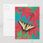 Carte Postale Un papillon canadien de machaon de tigre (Devant / Derrière)