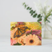Carte Postale Un papillon de deuil (Debout devant)