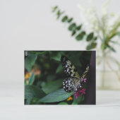 Carte Postale Un papillon jaune sur des fleurs roses (Debout devant)