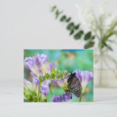 Carte Postale Un papillon monarque | Danaus Plexippus (Debout devant)