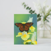 Carte Postale Un papillon Viceroy sur un iris japonais jaune (Debout devant)