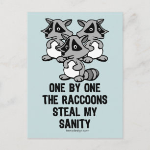 Carte Postale Un Par Un Les Raccoons