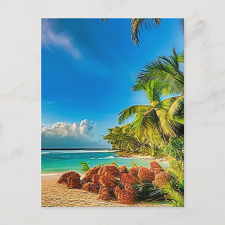 Carte Postale Un paradis tropical.