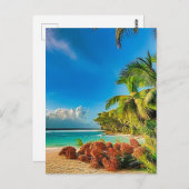 Carte Postale Un paradis tropical. (Devant / Derrière)