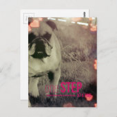 Carte Postale Un pas à la fois, Bulldog (Devant / Derrière)
