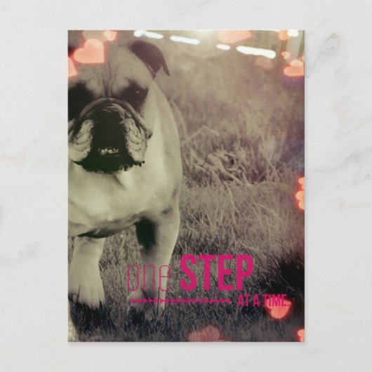 Carte Postale Un pas à la fois, Bulldog (Devant)