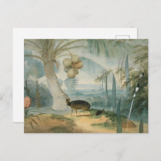 Carte Postale Un paysage à Ceylan par Samuel Daniell (Devant / Derrière)